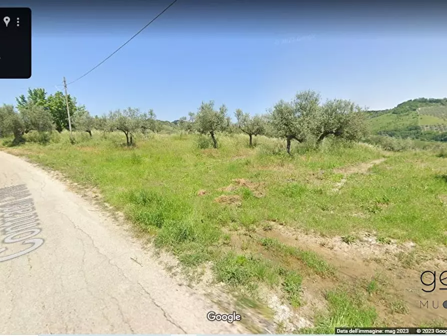 Immagine 4 di Terreno in vendita  a Penne
