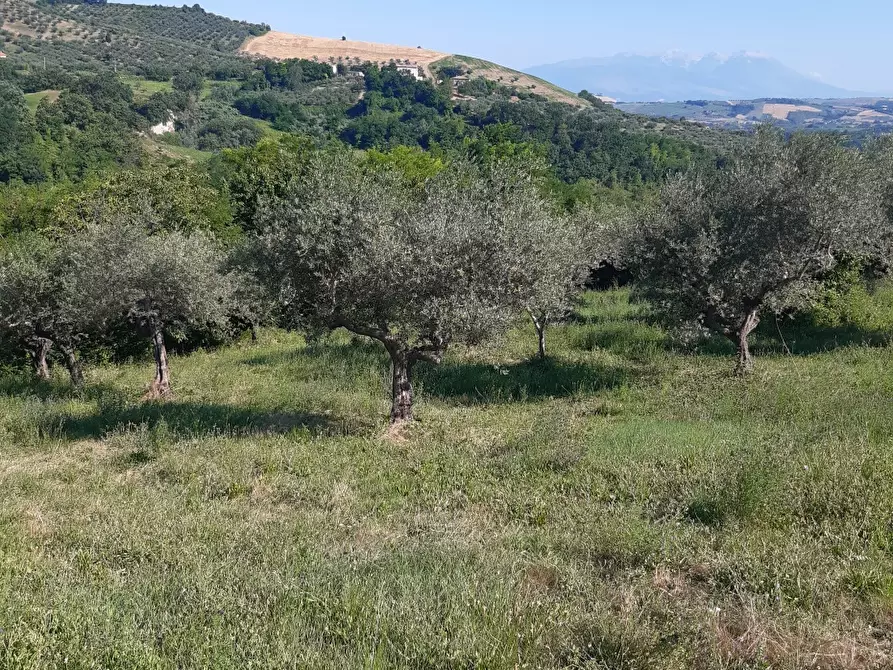 Immagine 3 di Terreno in vendita  a Penne