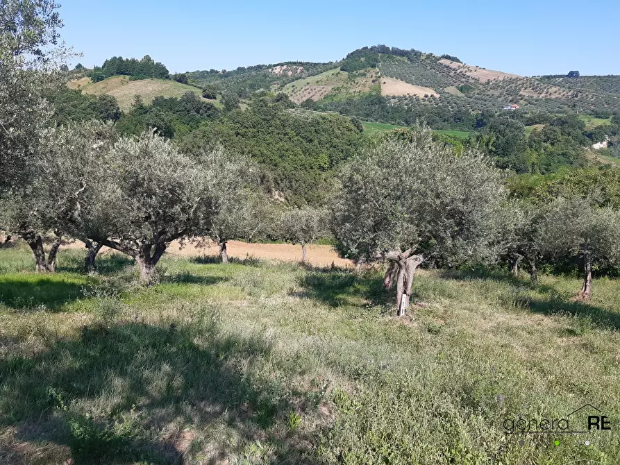 Immagine 2 di Terreno in vendita  a Penne