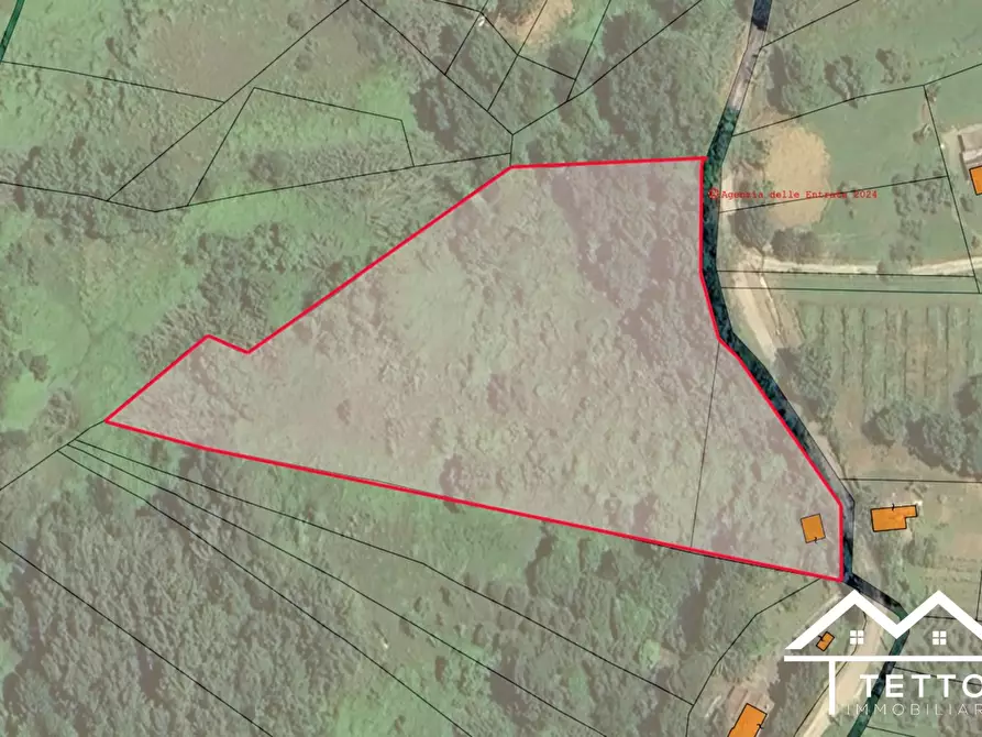 Immagine 2 di Terreno in vendita  a Forano