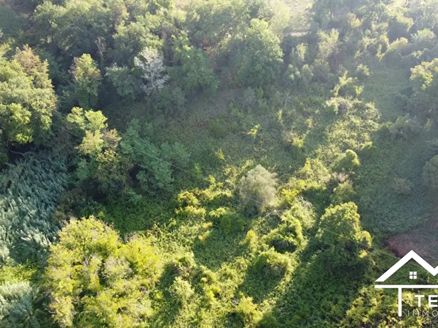 Immagine 8 di Terreno in vendita  a Forano
