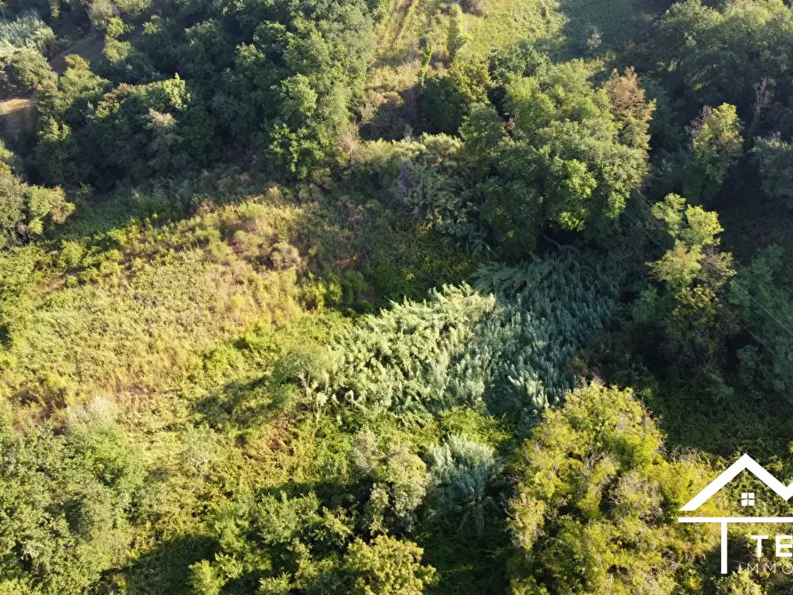 Immagine 5 di Terreno in vendita  a Forano