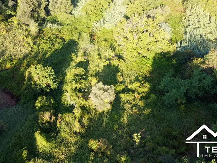 Immagine 7 di Terreno in vendita  a Forano