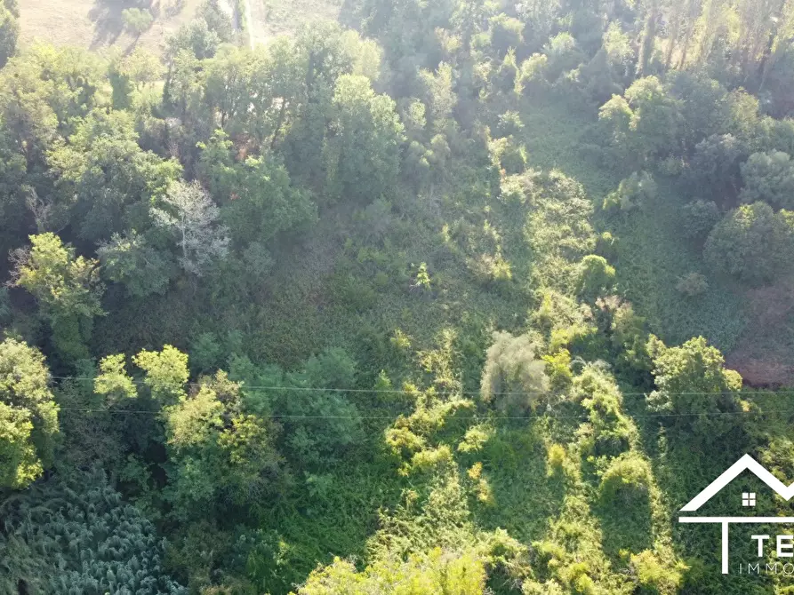 Immagine 9 di Terreno in vendita  a Forano