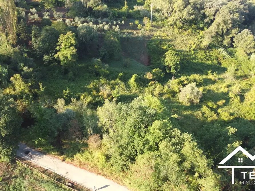 Immagine 4 di Terreno in vendita  a Forano