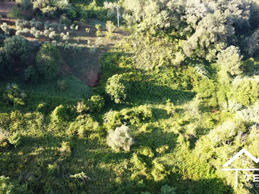 Immagine 6 di Terreno in vendita  a Forano
