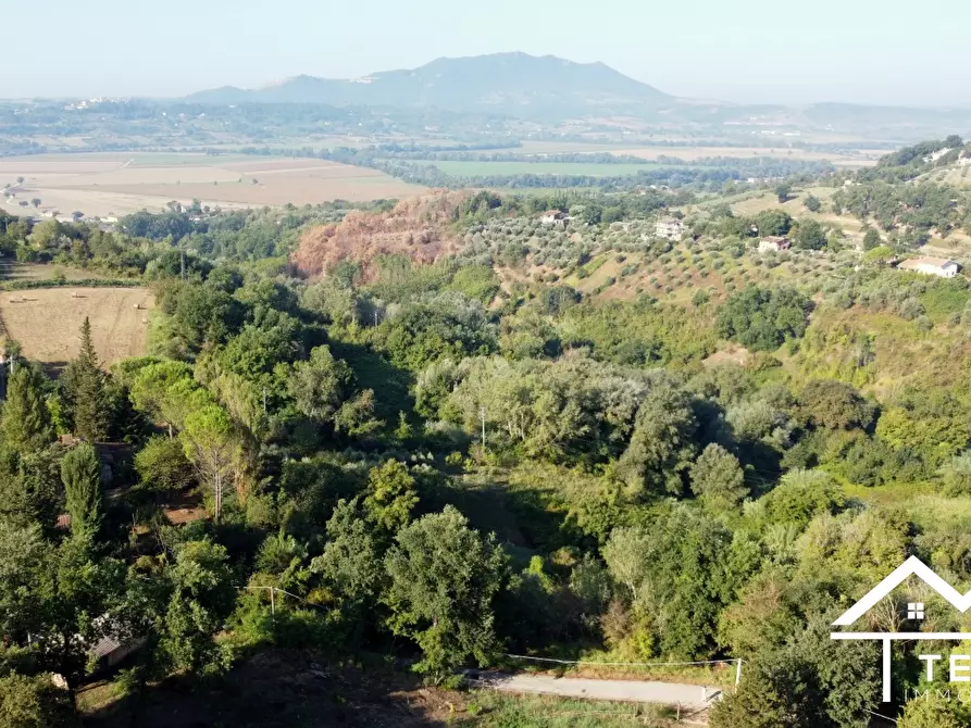 Immagine 1 di Terreno in vendita  a Forano