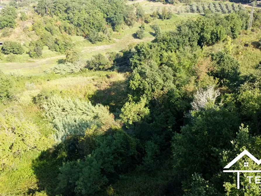 Immagine 3 di Terreno in vendita  a Forano
