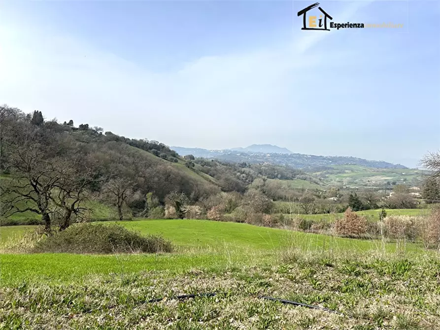 Immagine 6 di Terreno in vendita  snc a Montopoli Di Sabina