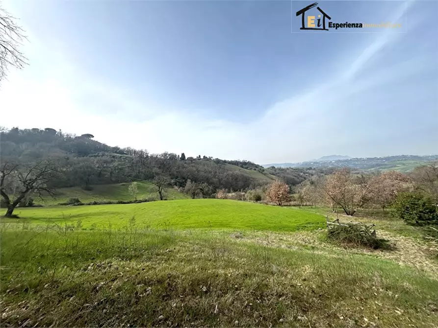 Immagine 10 di Terreno in vendita  snc a Montopoli Di Sabina