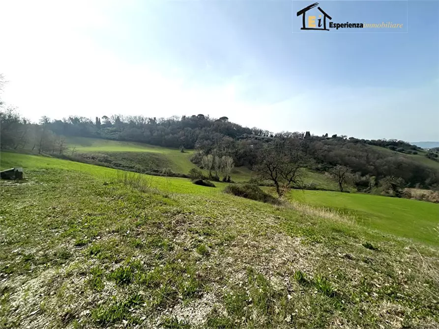 Immagine 2 di Terreno in vendita  snc a Montopoli Di Sabina