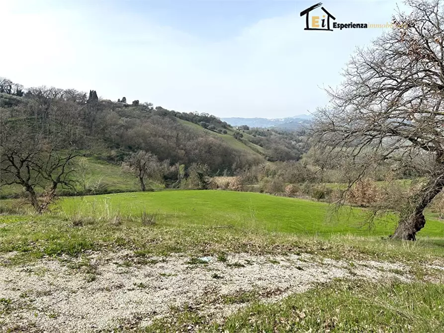 Immagine 8 di Terreno in vendita  snc a Montopoli Di Sabina