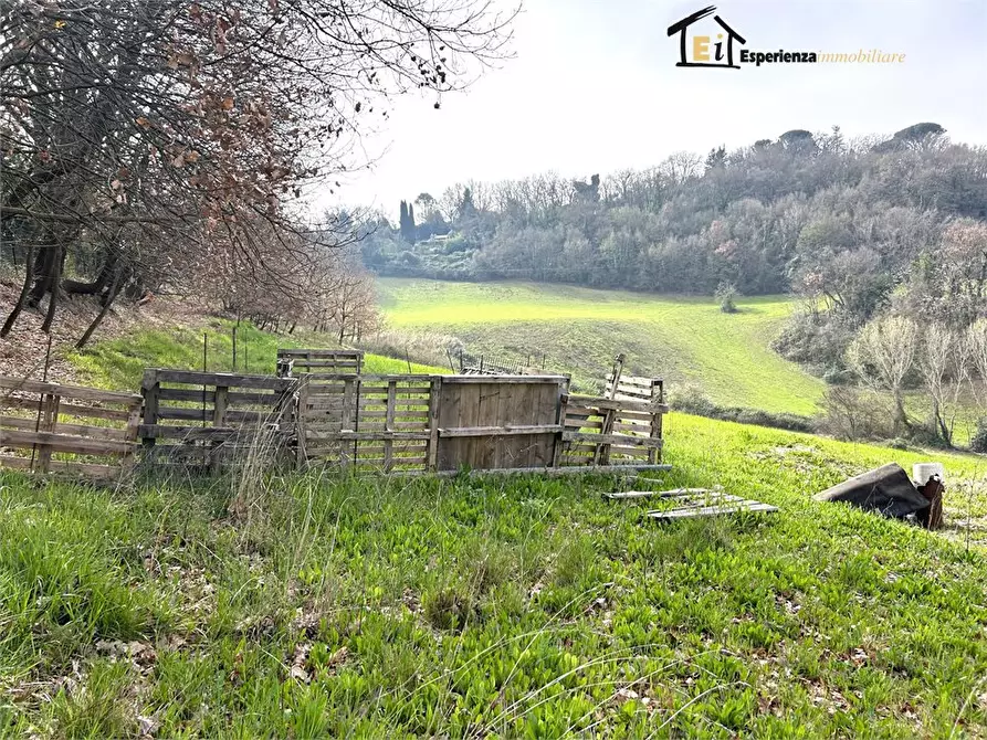 Immagine 5 di Terreno in vendita  snc a Montopoli Di Sabina