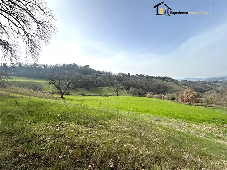 Immagine 9 di Terreno in vendita  snc a Montopoli Di Sabina