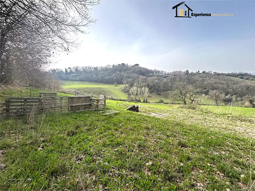 Immagine 4 di Terreno in vendita  snc a Montopoli Di Sabina