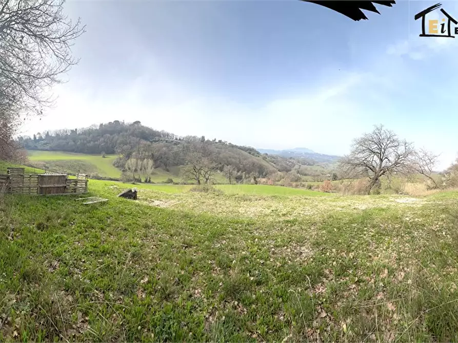 Immagine 1 di Terreno in vendita  snc a Montopoli Di Sabina