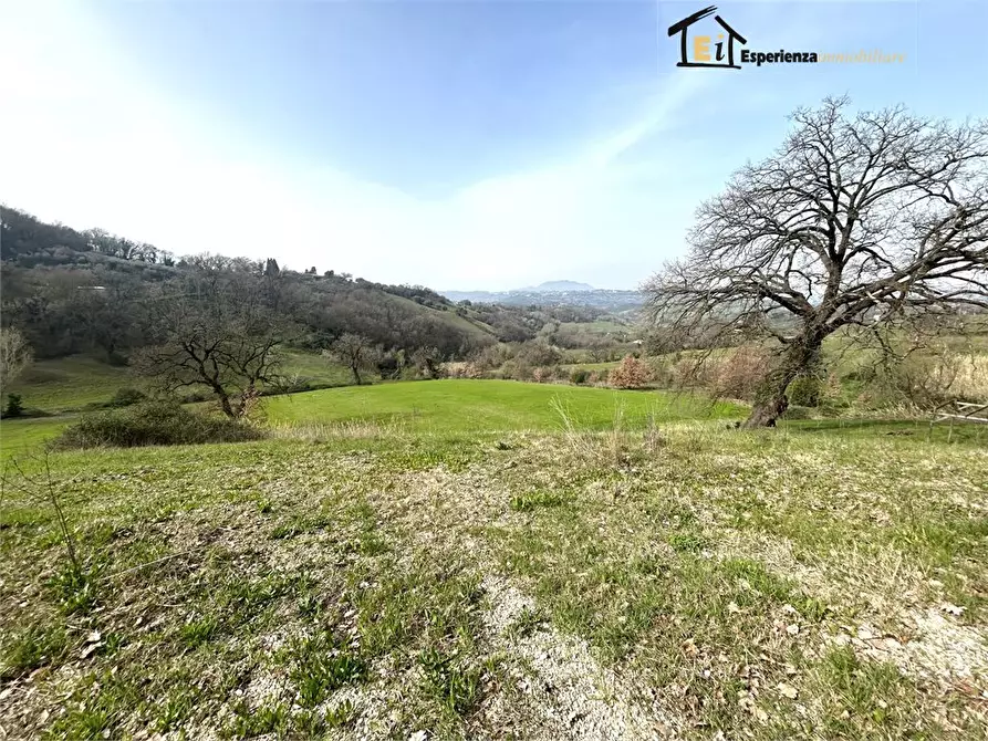 Immagine 3 di Terreno in vendita  snc a Montopoli Di Sabina