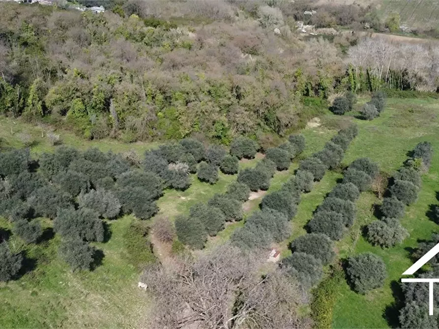 Immagine 4 di Terreno in vendita  snc a Forano