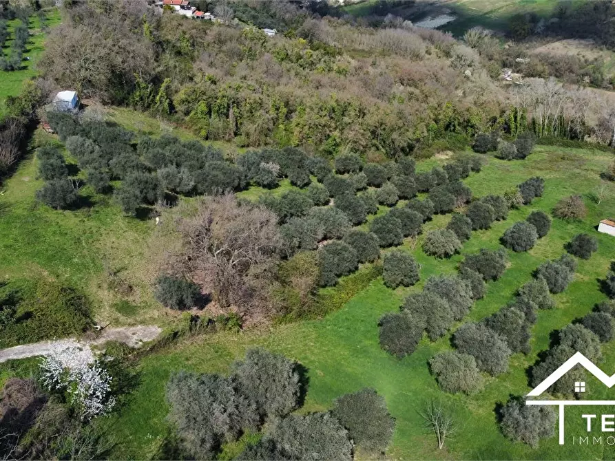 Immagine 2 di Terreno in vendita  snc a Forano