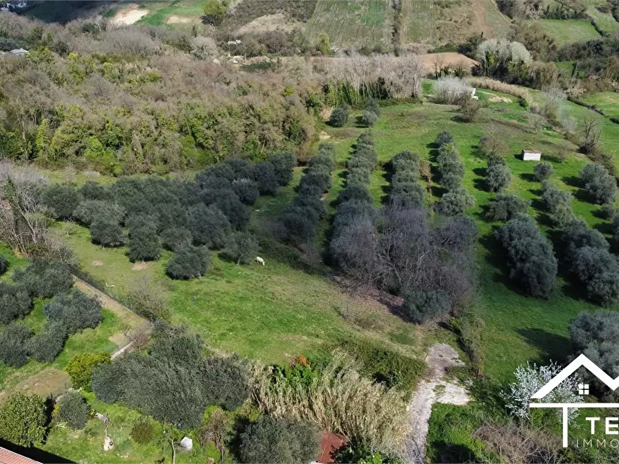 Immagine 3 di Terreno in vendita  snc a Forano