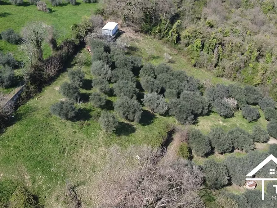 Immagine 7 di Terreno in vendita  snc a Forano