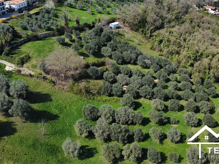 Immagine 5 di Terreno in vendita  snc a Forano