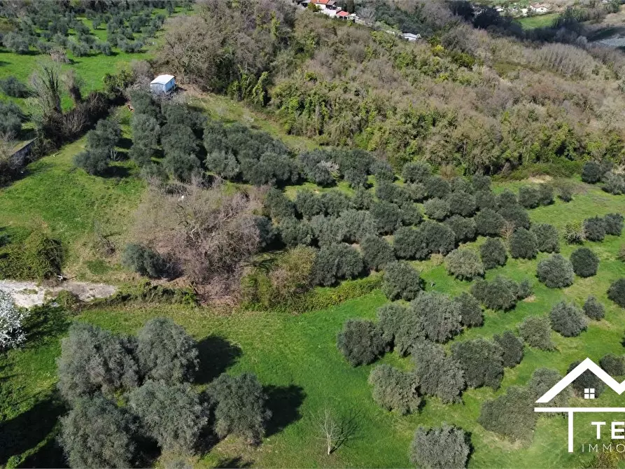 Immagine 10 di Terreno in vendita  snc a Forano