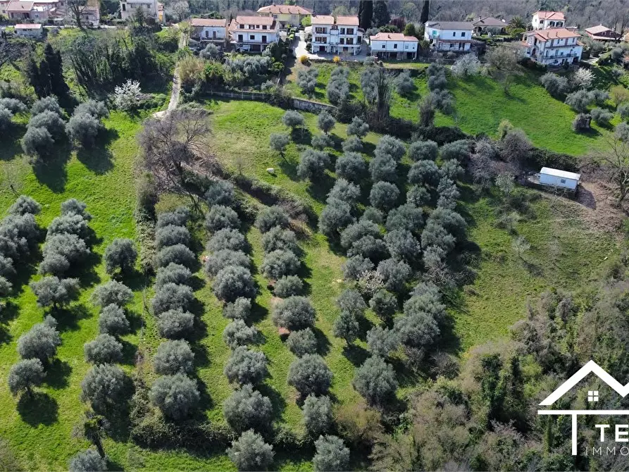 Immagine 9 di Terreno in vendita  snc a Forano