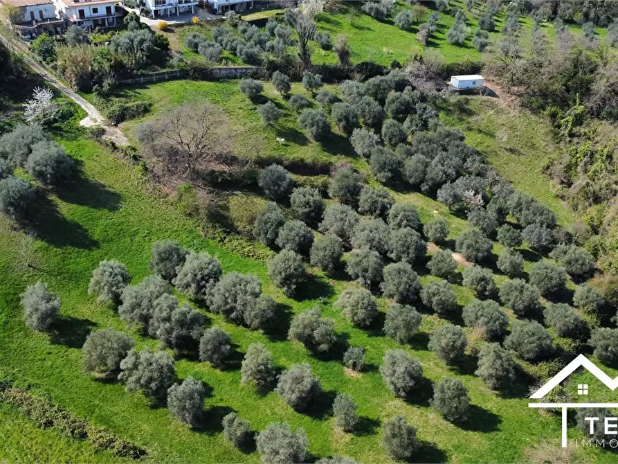 Immagine 6 di Terreno in vendita  snc a Forano
