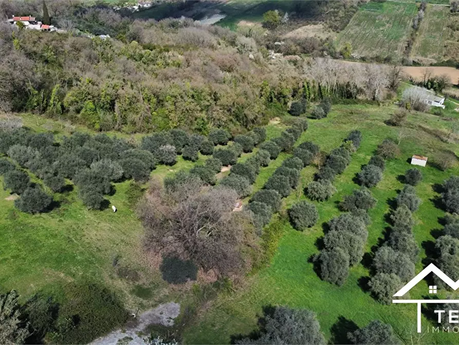 Immagine 8 di Terreno in vendita  snc a Forano