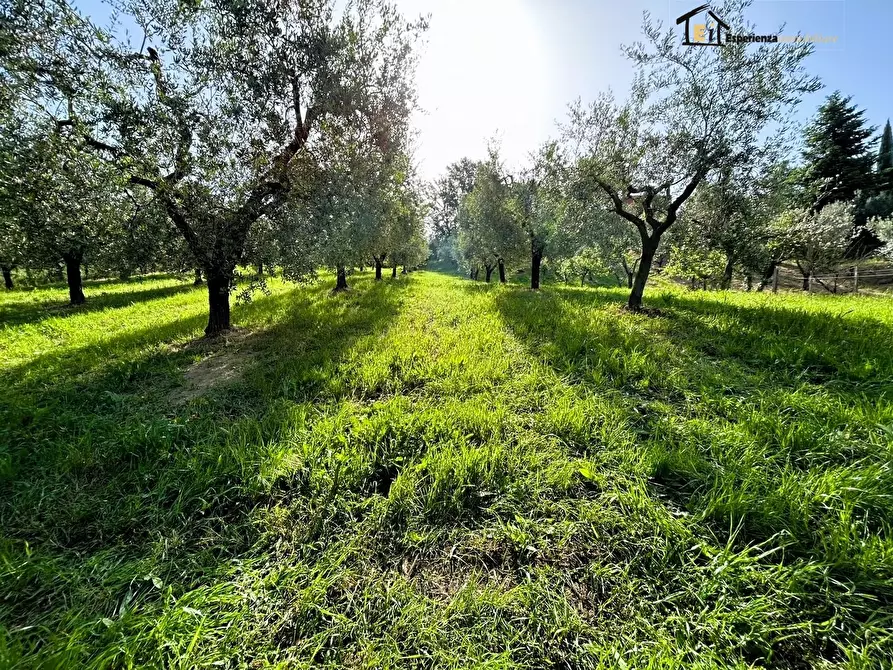 Immagine 1 di Terreno in vendita  a Poggio Mirteto