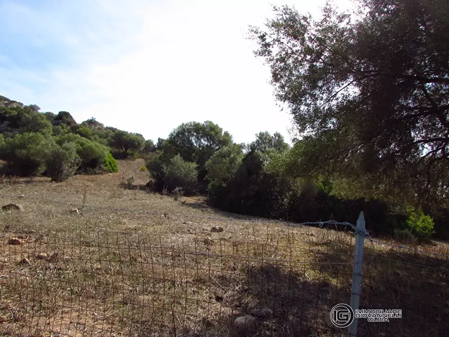 Immagine 6 di Terreno in vendita  a Olbia