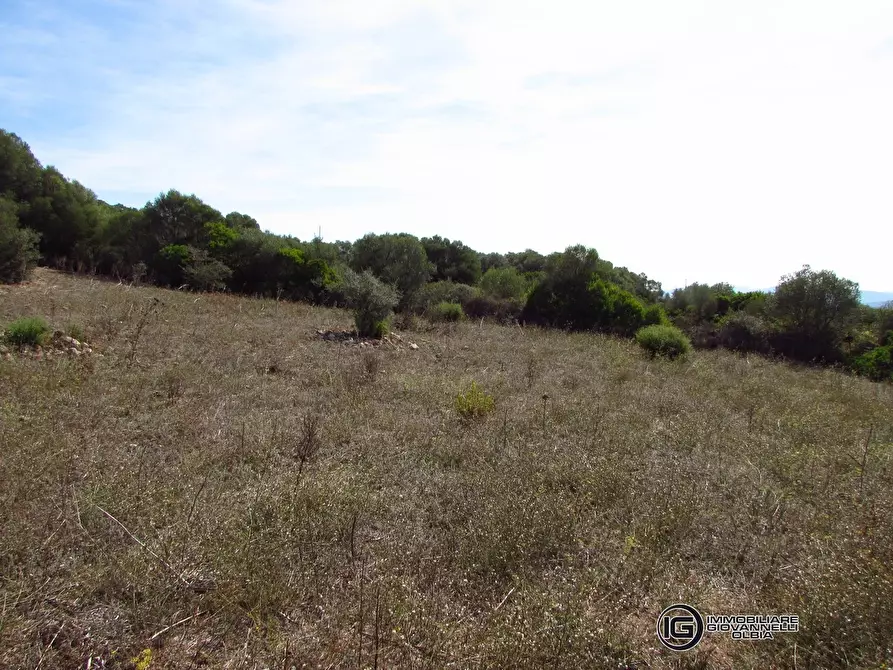 Immagine 4 di Terreno in vendita  a Olbia