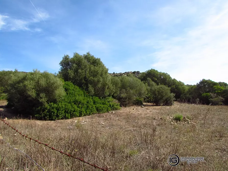 Immagine 5 di Terreno in vendita  a Olbia