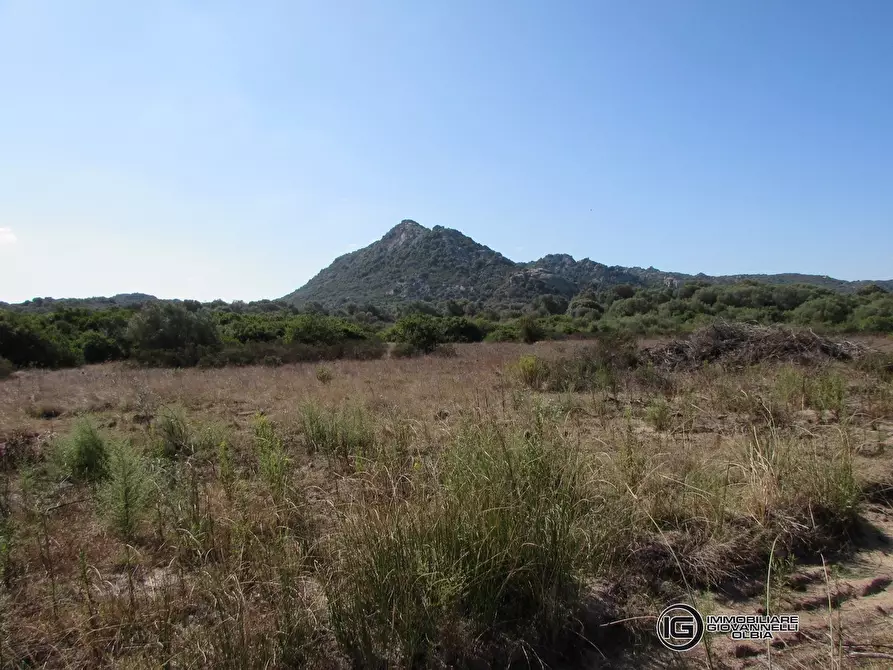 Immagine 6 di Terreno in vendita  a Olbia