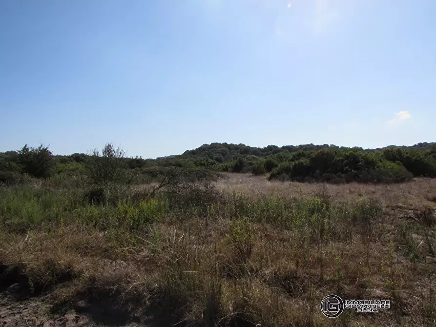 Immagine 7 di Terreno in vendita  a Olbia