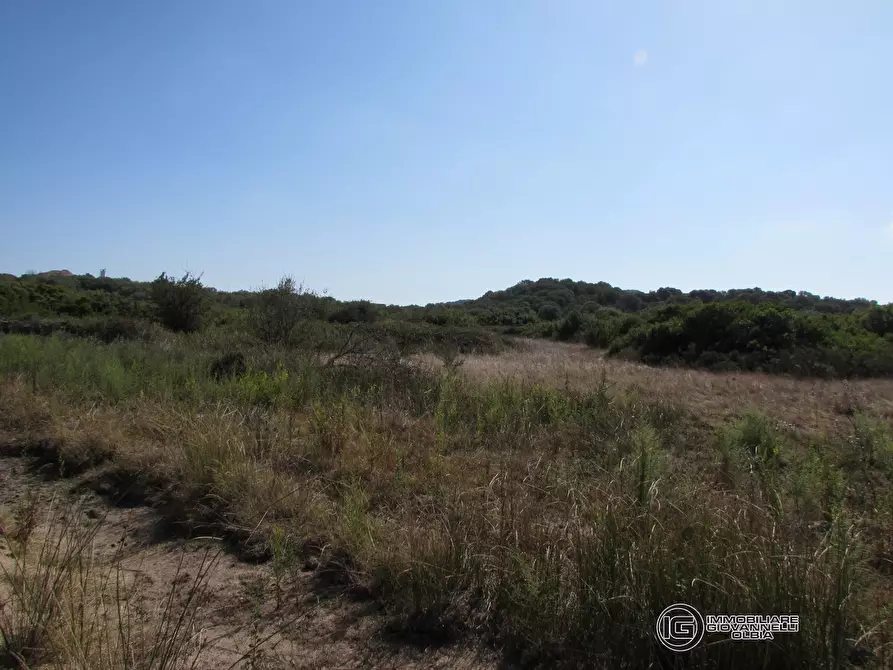 Immagine 4 di Terreno in vendita  a Olbia
