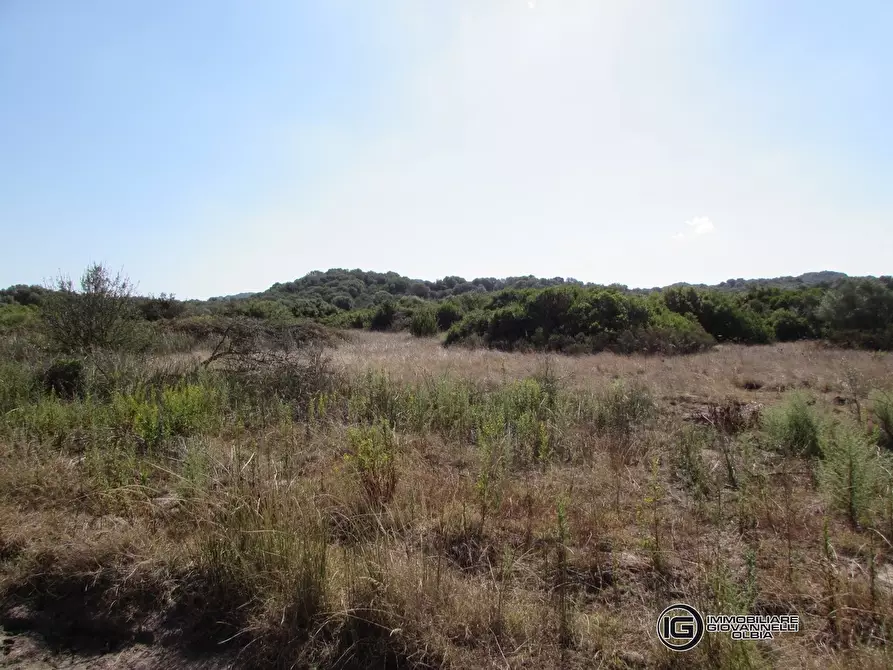 Immagine 5 di Terreno in vendita  a Olbia