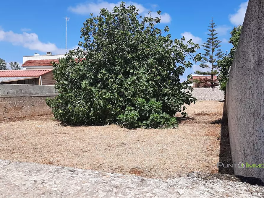 Immagine 8 di Terreno edificabile in vendita  10 a San Pietro Vernotico