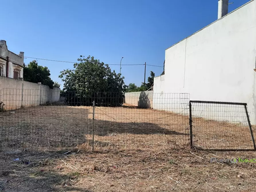 Immagine 5 di Terreno edificabile in vendita  10 a San Pietro Vernotico