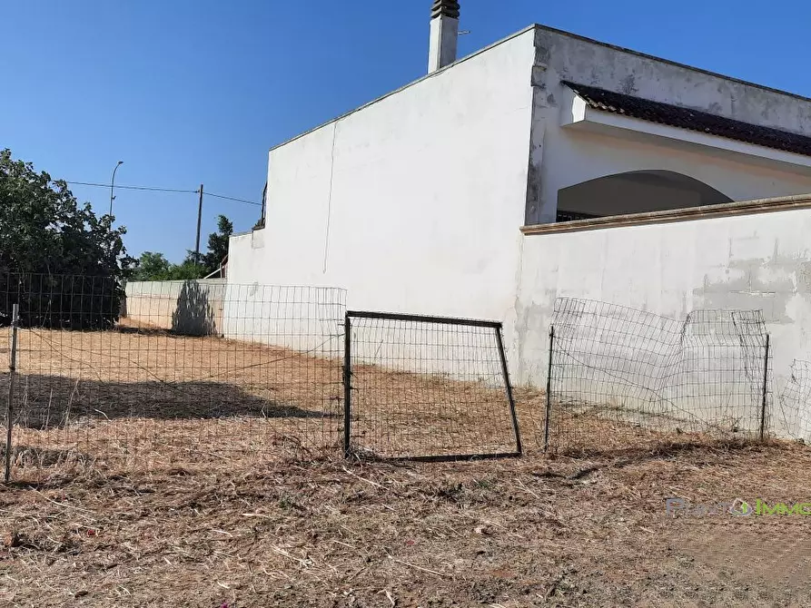 Immagine 3 di Terreno edificabile in vendita  10 a San Pietro Vernotico