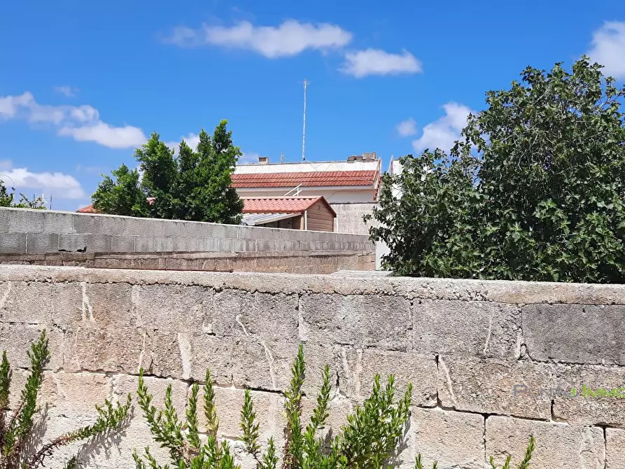 Immagine 6 di Terreno edificabile in vendita  10 a San Pietro Vernotico