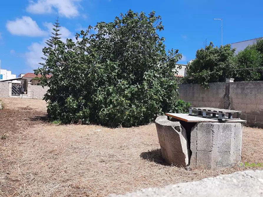 Immagine 7 di Terreno edificabile in vendita  10 a San Pietro Vernotico