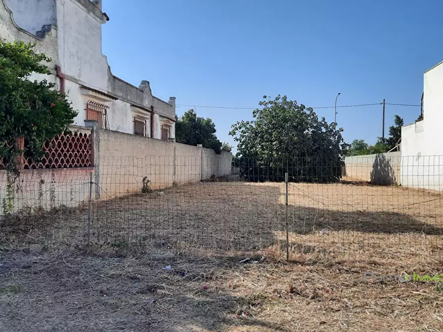 Immagine 4 di Terreno edificabile in vendita  10 a San Pietro Vernotico