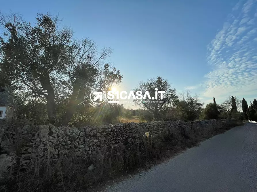Immagine 4 di Terreno in vendita  a Galatone