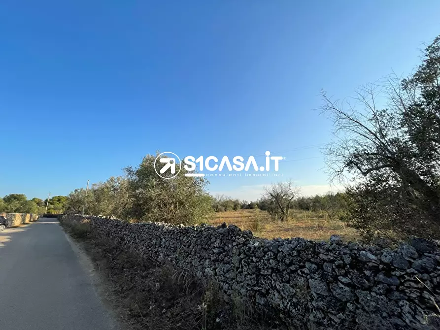 Immagine 3 di Terreno in vendita  a Galatone