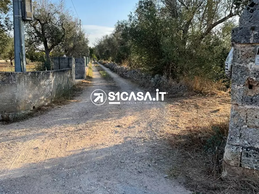 Immagine 5 di Terreno in vendita  a Galatone