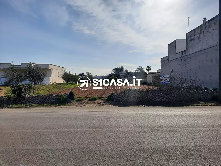 Immagine 3 di Terreno edificabile in vendita  a Galatone