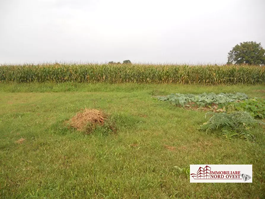 Immagine 2 di Terreno edificabile in vendita  a Pregnana Milanese