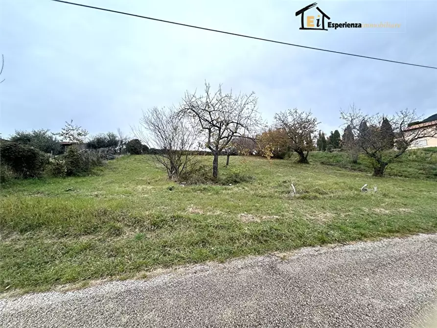 Immagine 5 di Terreno edificabile in vendita  snc a Casperia